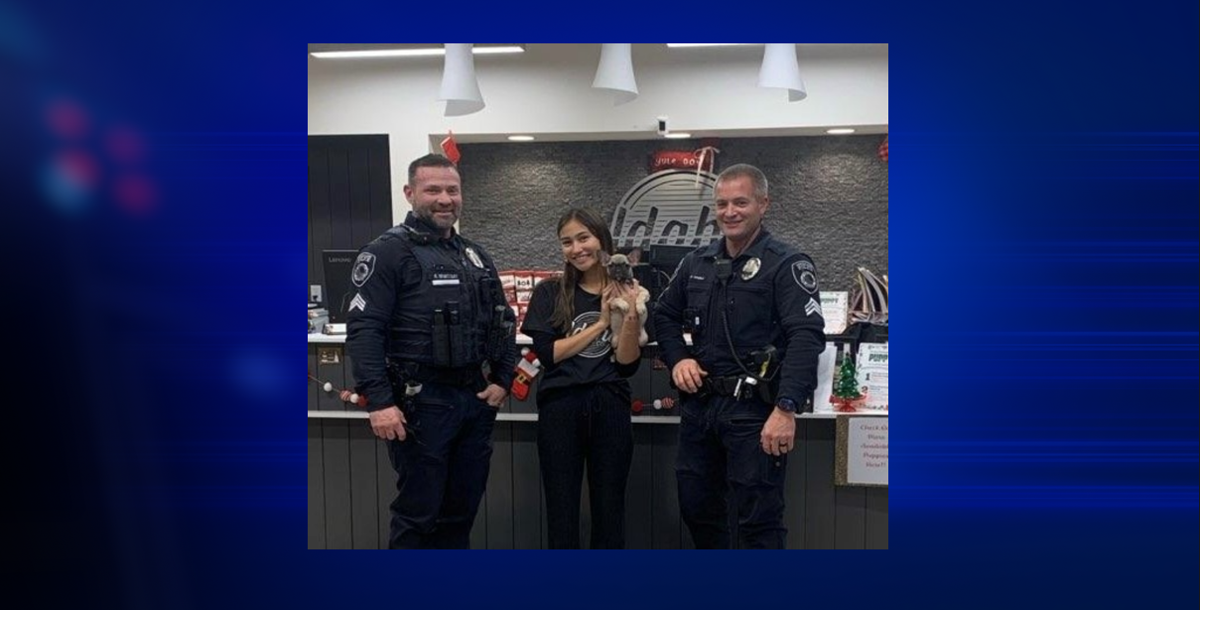 Coeur d’Alene police arrest woman accused of stealing puppy | Spokane ...