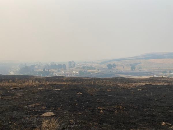 Level 1 Evacuations For Winona Fire Lifted Following 2,525 Acre Blaze ...