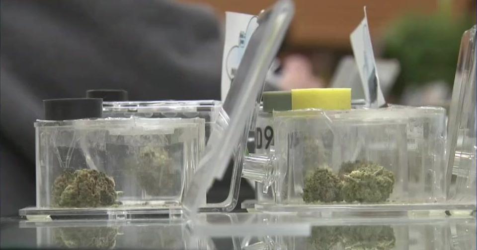 New Washington laws impact family leave and cannabis industry