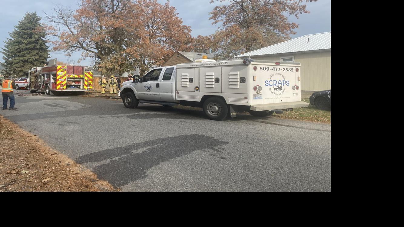 27 cats killed in Spokane Valley house fire Spokane News