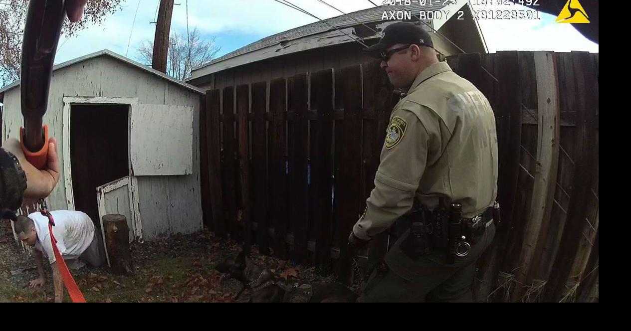 K9 Edo helps Moses Lake Police find wanted felon hiding inside shed ...