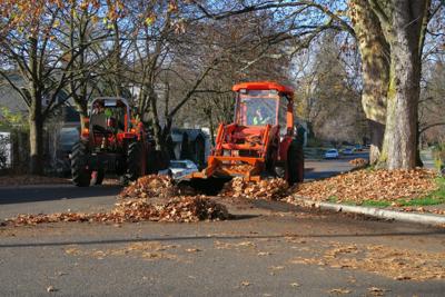 Leaf pickup in Browne's Addition on Thursday/Friday