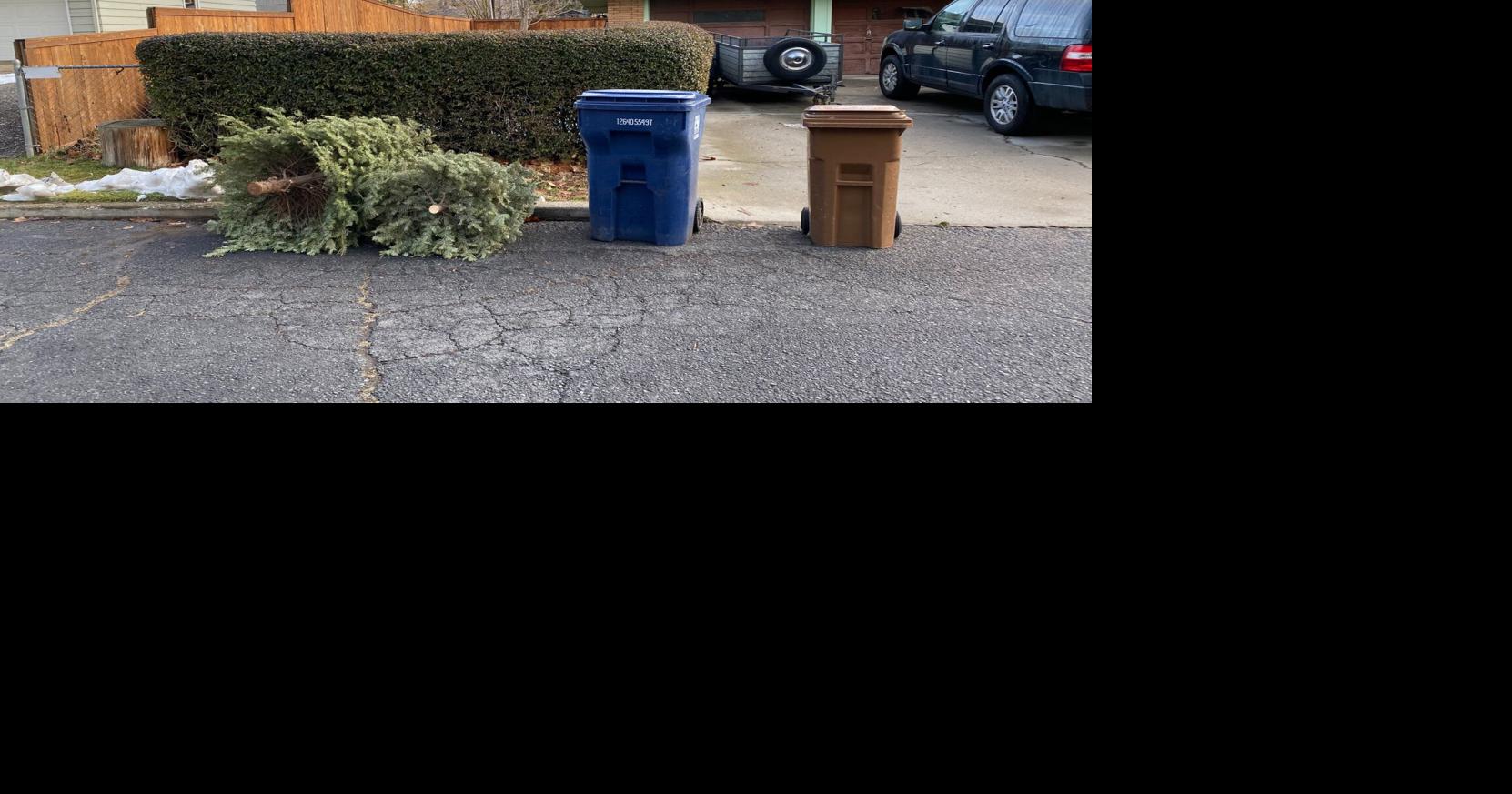 Last week of free curbside pickup for freshcut Christmas trees