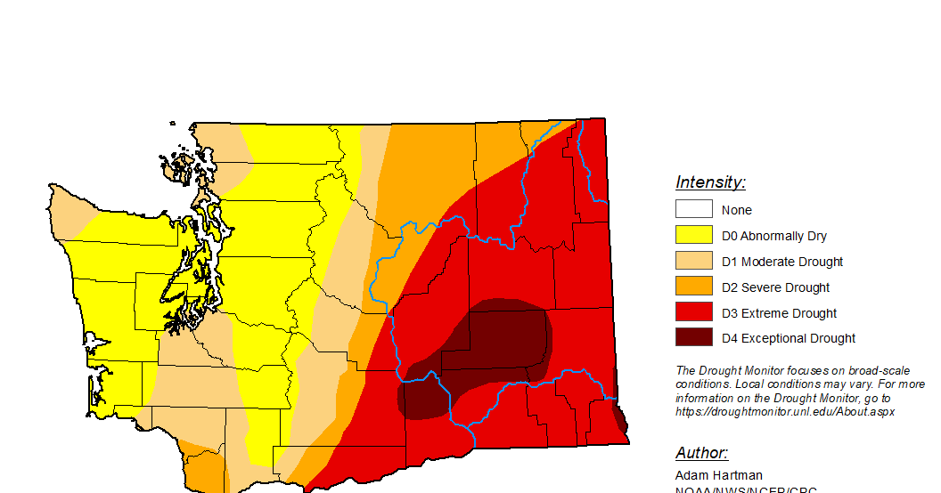Washington drought continues to worsen as more wildfires spark ...