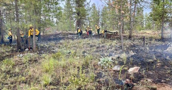 Spokane County Fire 3 stops brush fire near Moran Prairie - Vimarsana News