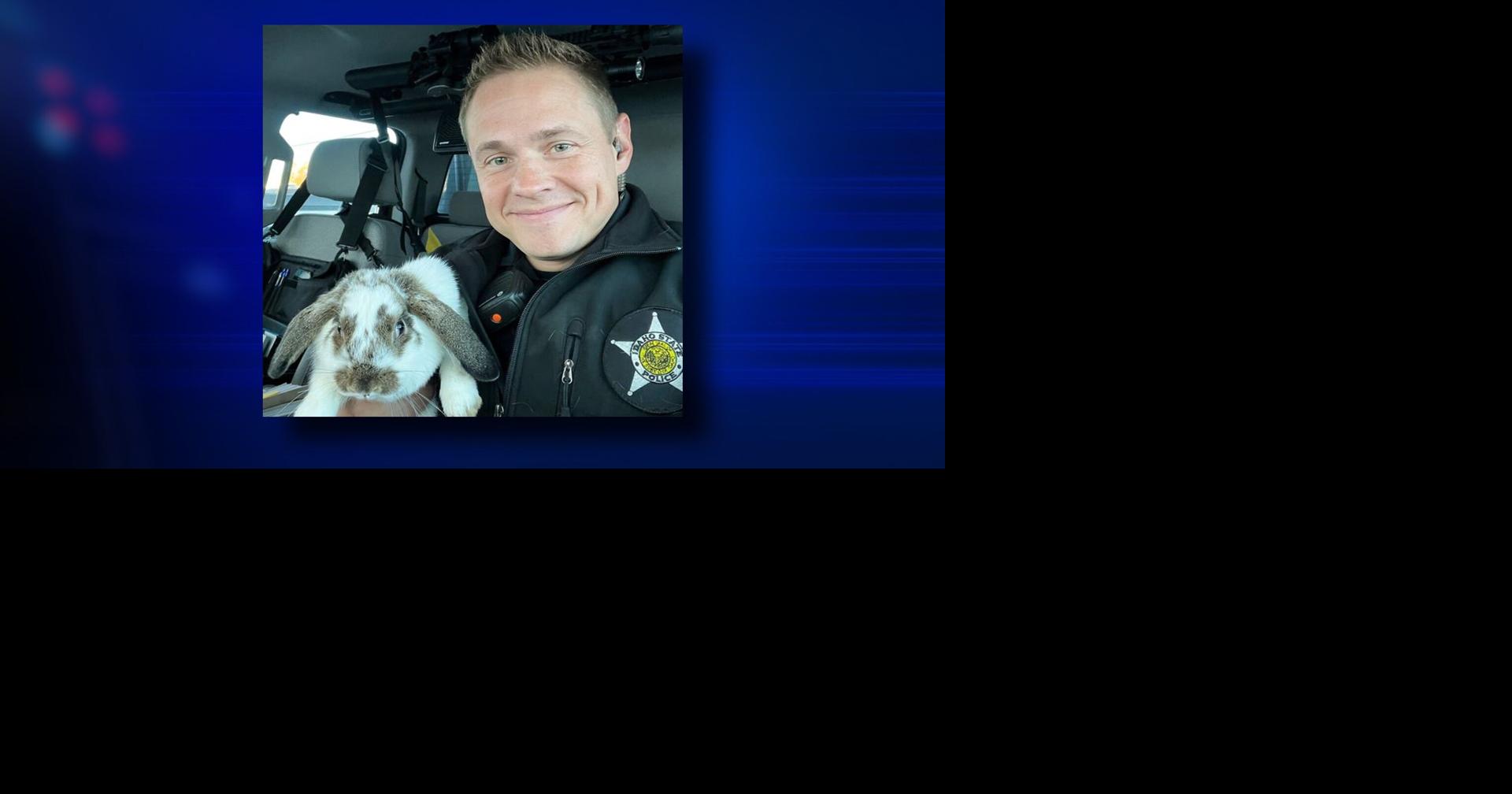 Idaho trooper rescues lost bunny rabbit near Idaho Falls | Spokane News ...