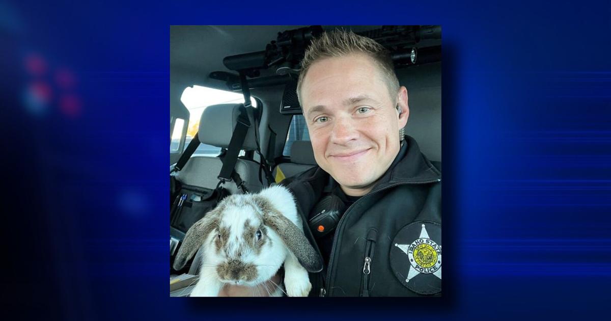 Idaho trooper rescues lost bunny rabbit near Idaho Falls | Spokane News ...