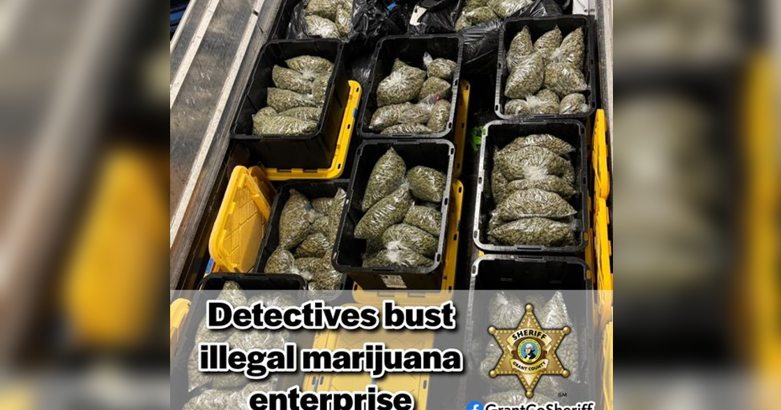 Large illegal marijuana grow sites busted in Ephrata | Spokane News ...