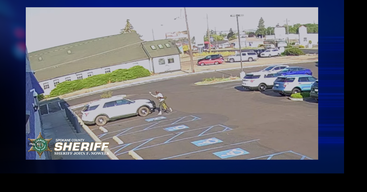 Vandalism News Image