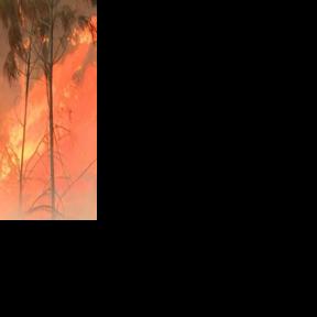 Portugal battles to contain wildfire in north