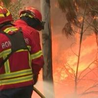 Portugal battles to contain wildfire in north