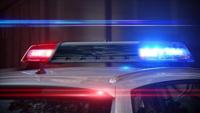 Body' in garbage bag turns out to be discarded sex doll | Spokane News |  khq.com