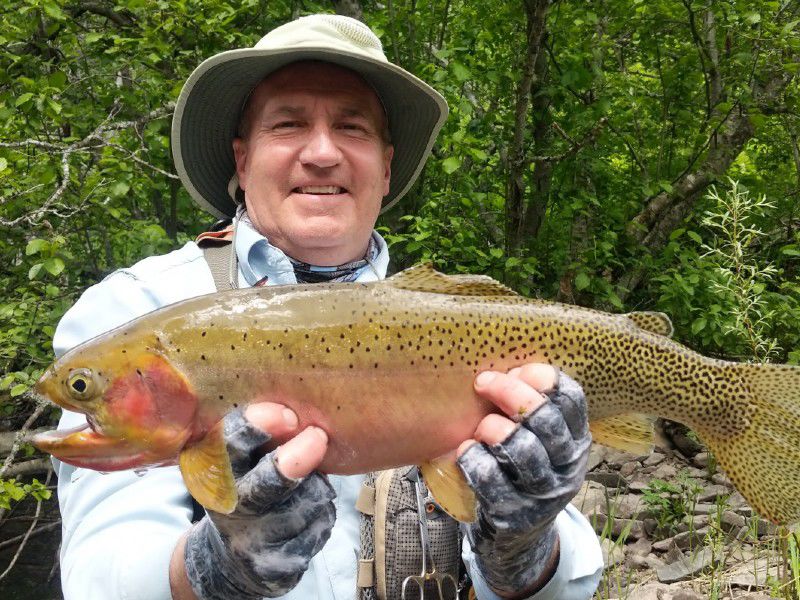 Coeur d'Alene fisherman lands record-breaking cutthroat trout