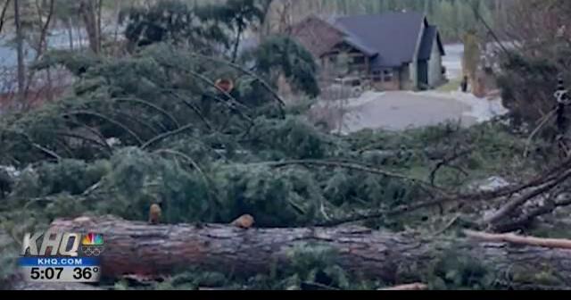 Family thankful to be unharmed by falling tree that destroyed home ...