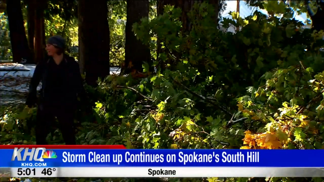 Cleanup On Spokane S South Hill Continues After Heavy Wet Snow Brought Down Trees News Khq Com