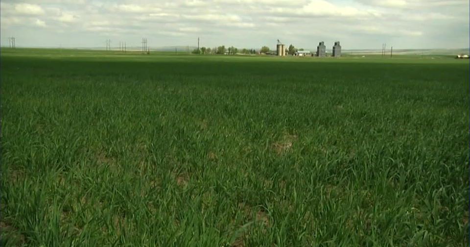 University of Idaho report highlights agriculture's economic impact over past year