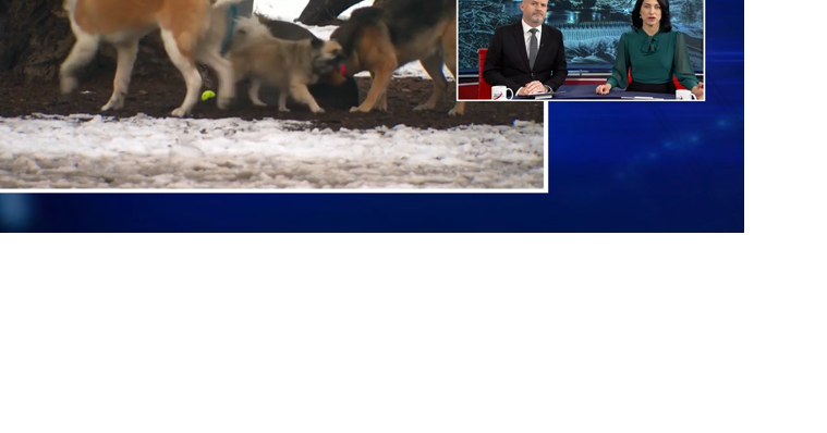 SpokAnimal can no longer afford to operate High Bridge dog park