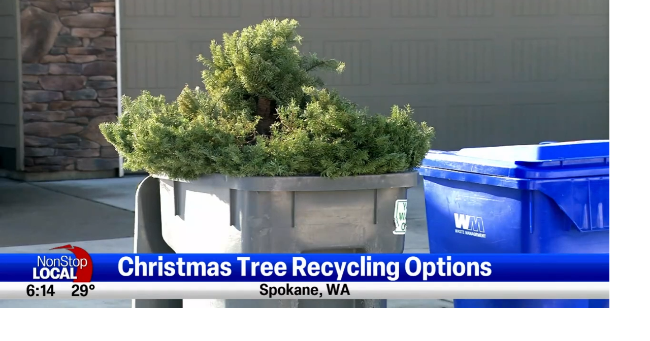 Christmas tree disposal options across Spokane, North Idaho Spokane