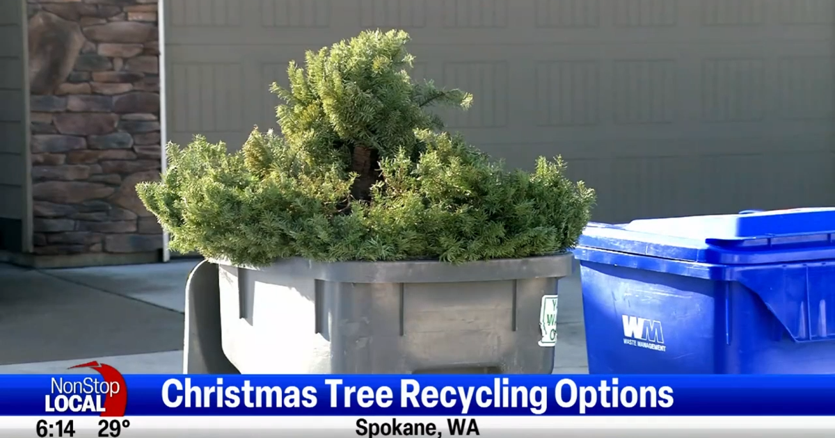 Christmas tree disposal options across Spokane, North Idaho | Spokane ...