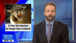 9-year-old girl attacked by cougar in Stevens County