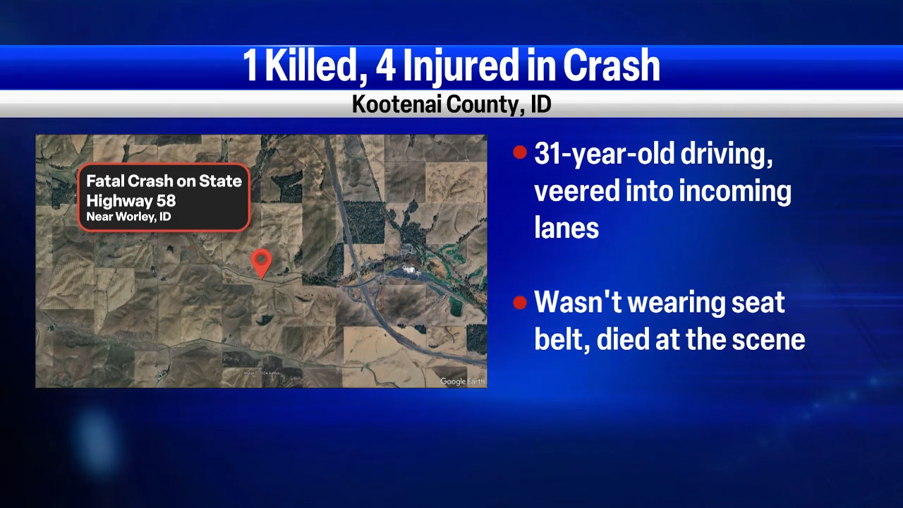 One dead, three critically injured in car crash on U.S. 95 in White ...