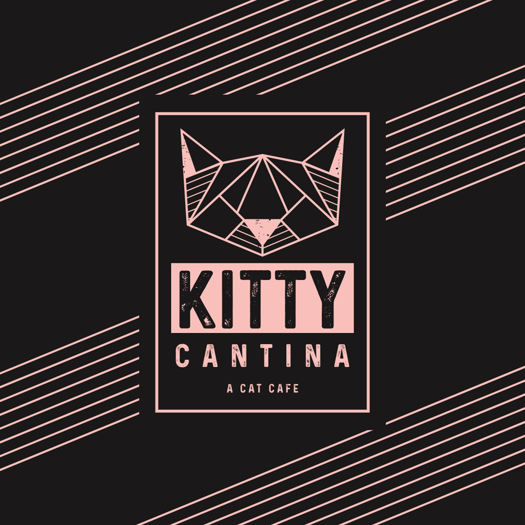 Kitty Cantina Couple seeks to open Spokane s first cat  