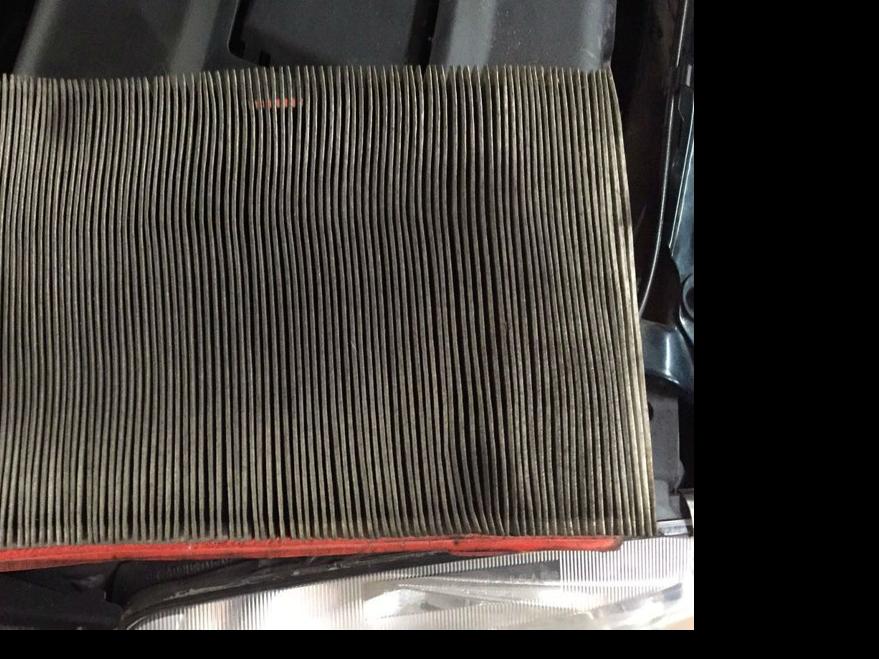 How To Get Rid Of The Smoke Smell From Your Car Clothes And Pets