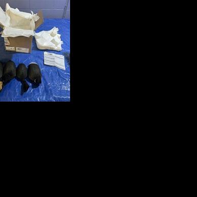 A handout image released by the District Court for the Western District of New York from the United States Fish and Wildlife Service shows the sock-wrapped protected turtles intercepted during a border inspection