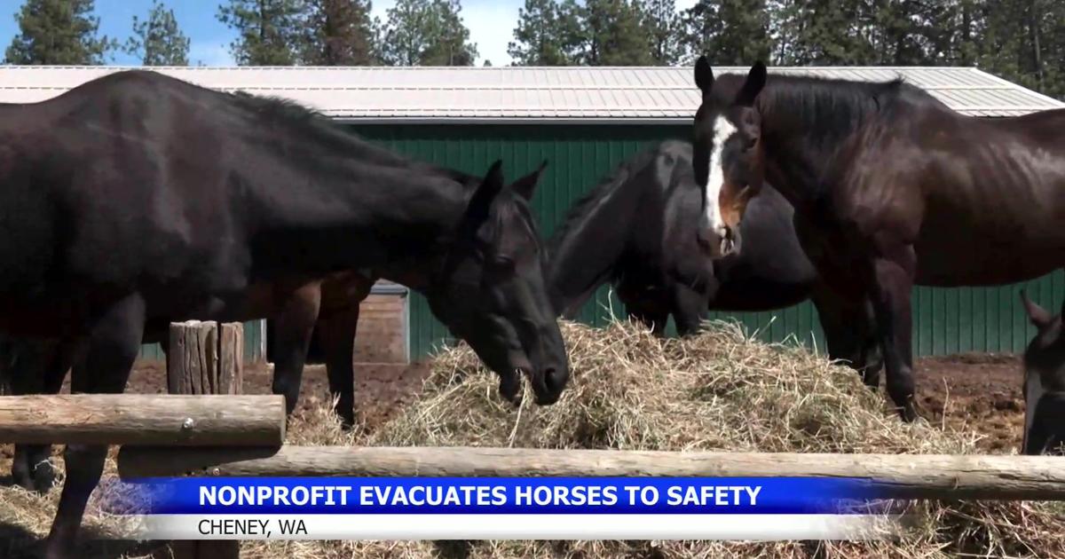 Volunteers Evacuate 20 Horses From Spokane Ranch During Aspen Fire
