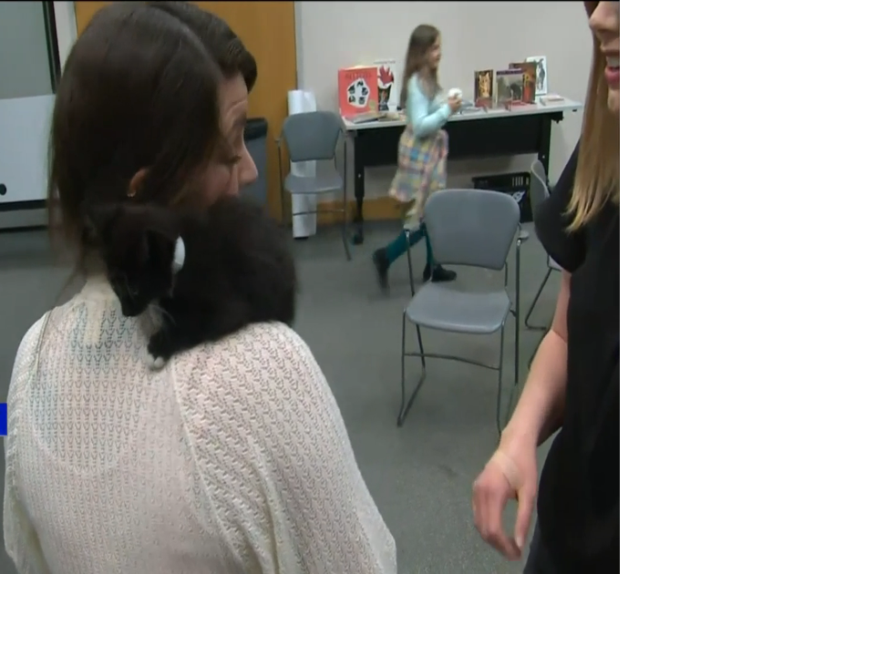 WATCH Cat  Cafe  event benefits SCRAPS News khq com