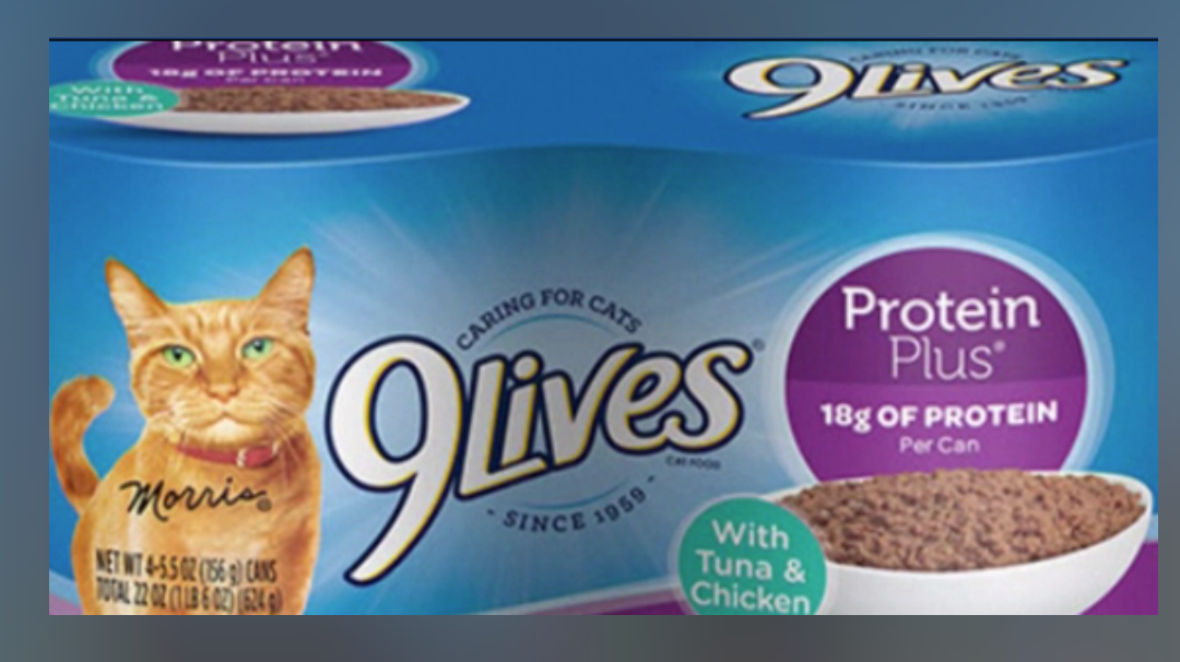 RECALL ALERT FDA issues recall for cat food News