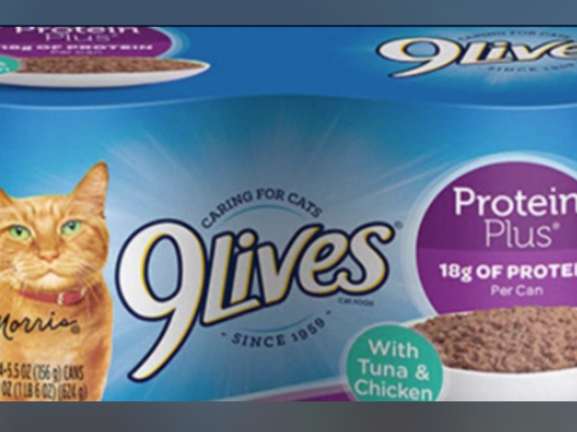 RECALL ALERT FDA issues recall for cat food News