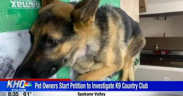 K9 hotsell kennel club
