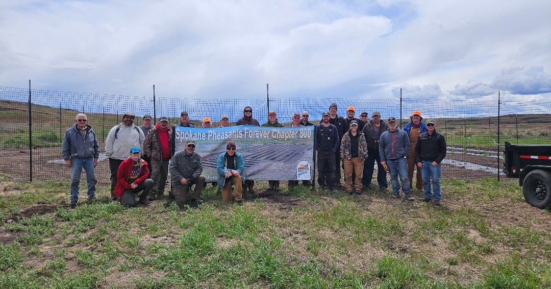 Swanson Lakes volunteers plant 700 shrubs to rebuild fire-damaged