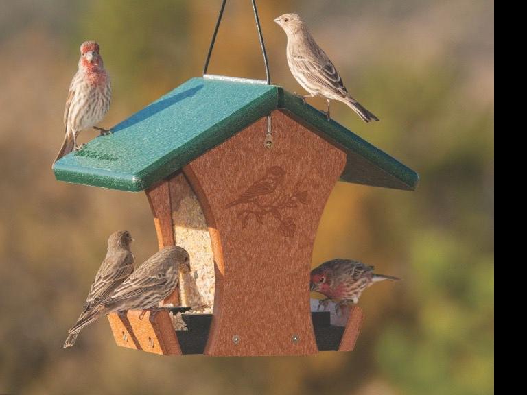 Wild Birds Unlimited of Spokane open for delivery | Stronger-together