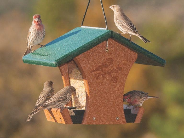 Wild Birds Unlimited of Spokane open for delivery | Stronger-together