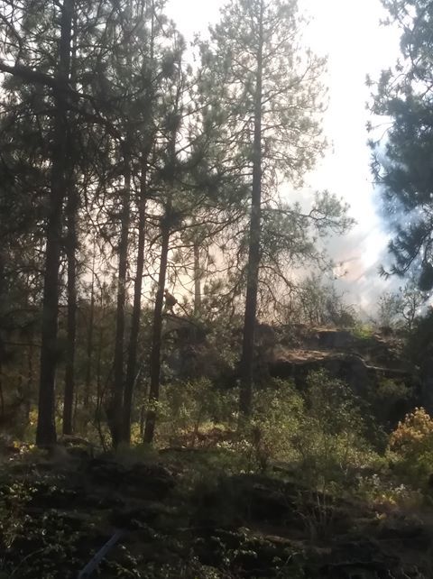 discovery park fire