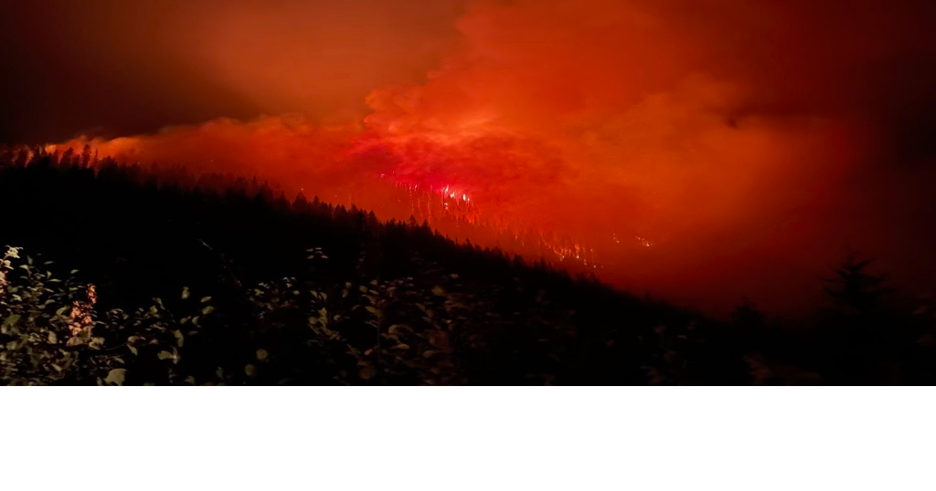 Buckskin 2 Fire burns 226 acres near Clark Fork with level 1