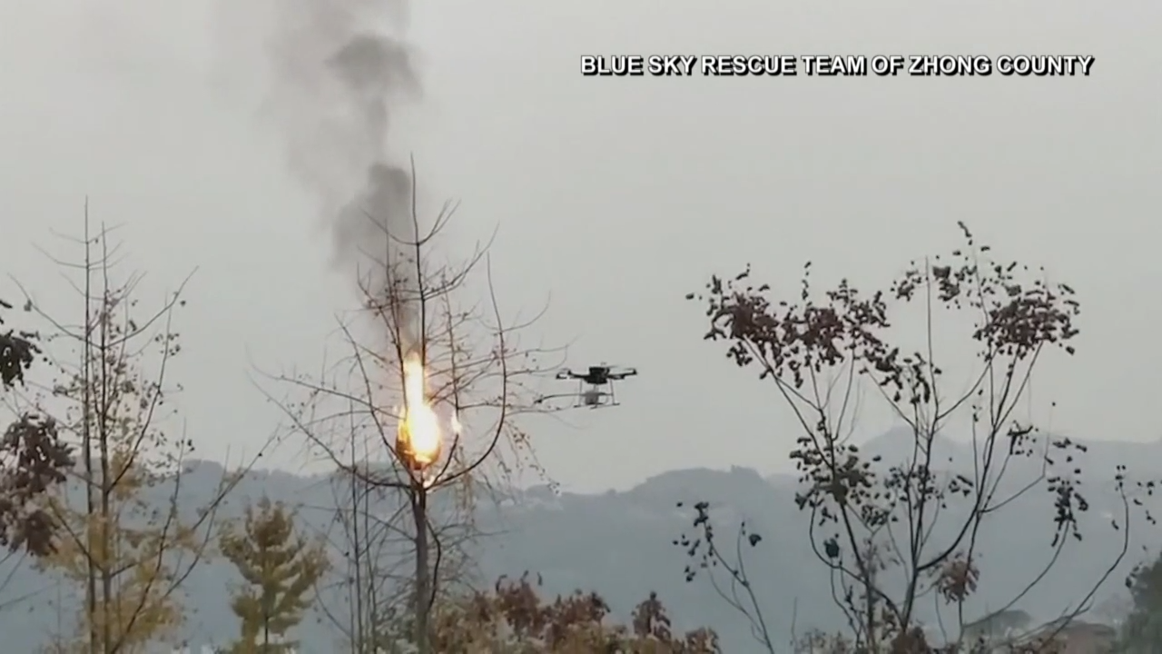 WATCH Flamethrower drone used to destroy Wasp s nests