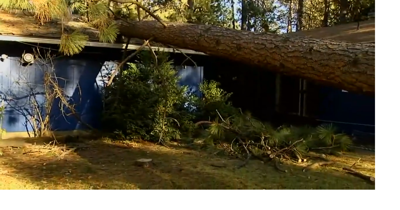 WATCH Tree falls on garage in Ponderosa neighborhood Spokane News