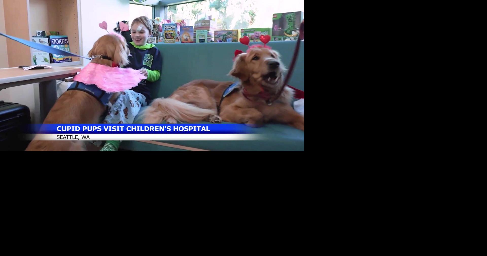 Seattle dogs deliver Valentine's joy to kids in hospital