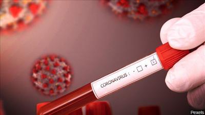 coronavirus graphic (2).jpg