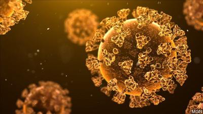 Vax Facts Washington Phase Finder To Help Notify You When You Can Get The Covid 19 Vaccine Coronavirus Khq Com
