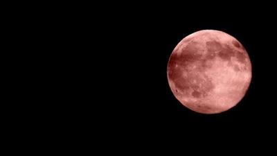 Pink Strawberry Moon Will Light Up The Sky Wednesday Night News Pink Strawberry Moon Will Light Up The Sky Wednesday Night