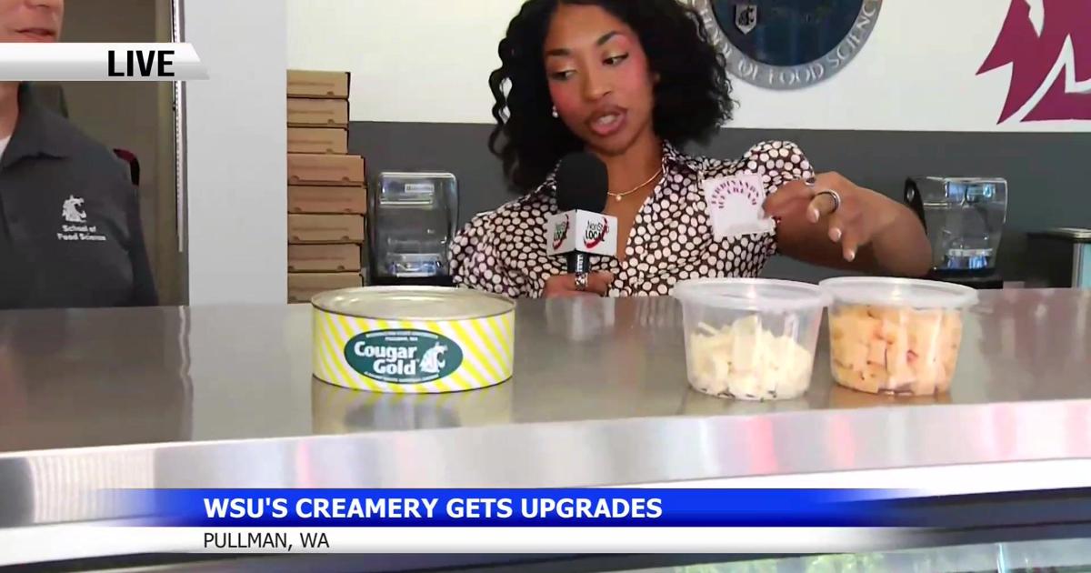 WSU approves $13.5 million for Pullman creamery upgrades Jun 3, 2026 Jun 3, 2026 Updated 2 mins ago