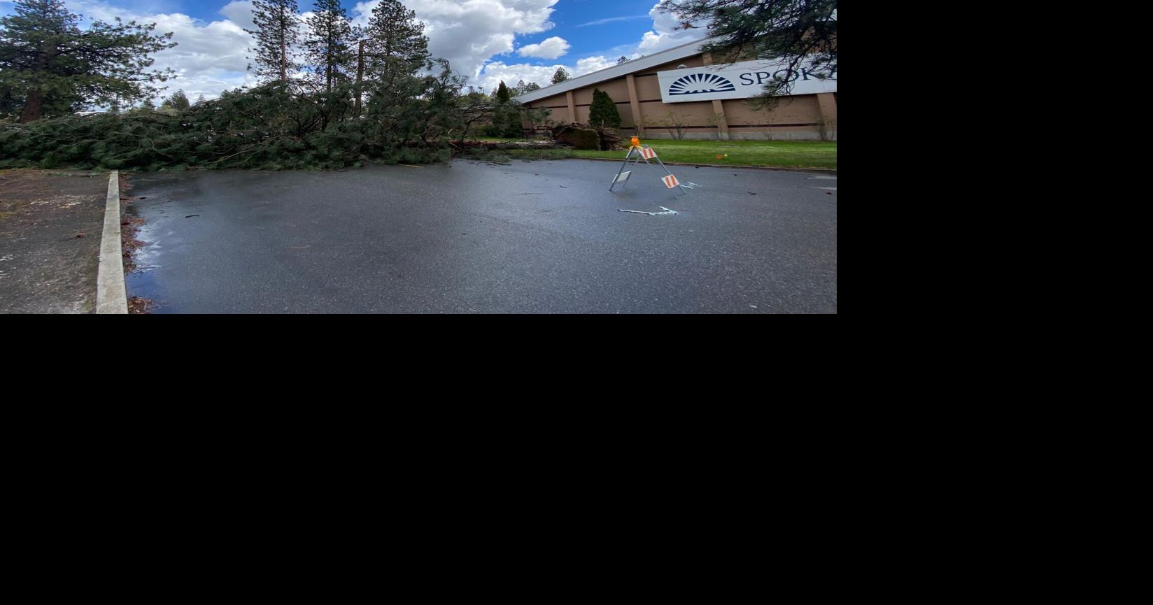 Crews clearing uprooted tree blocking 4th and Fancher after Friday's ...