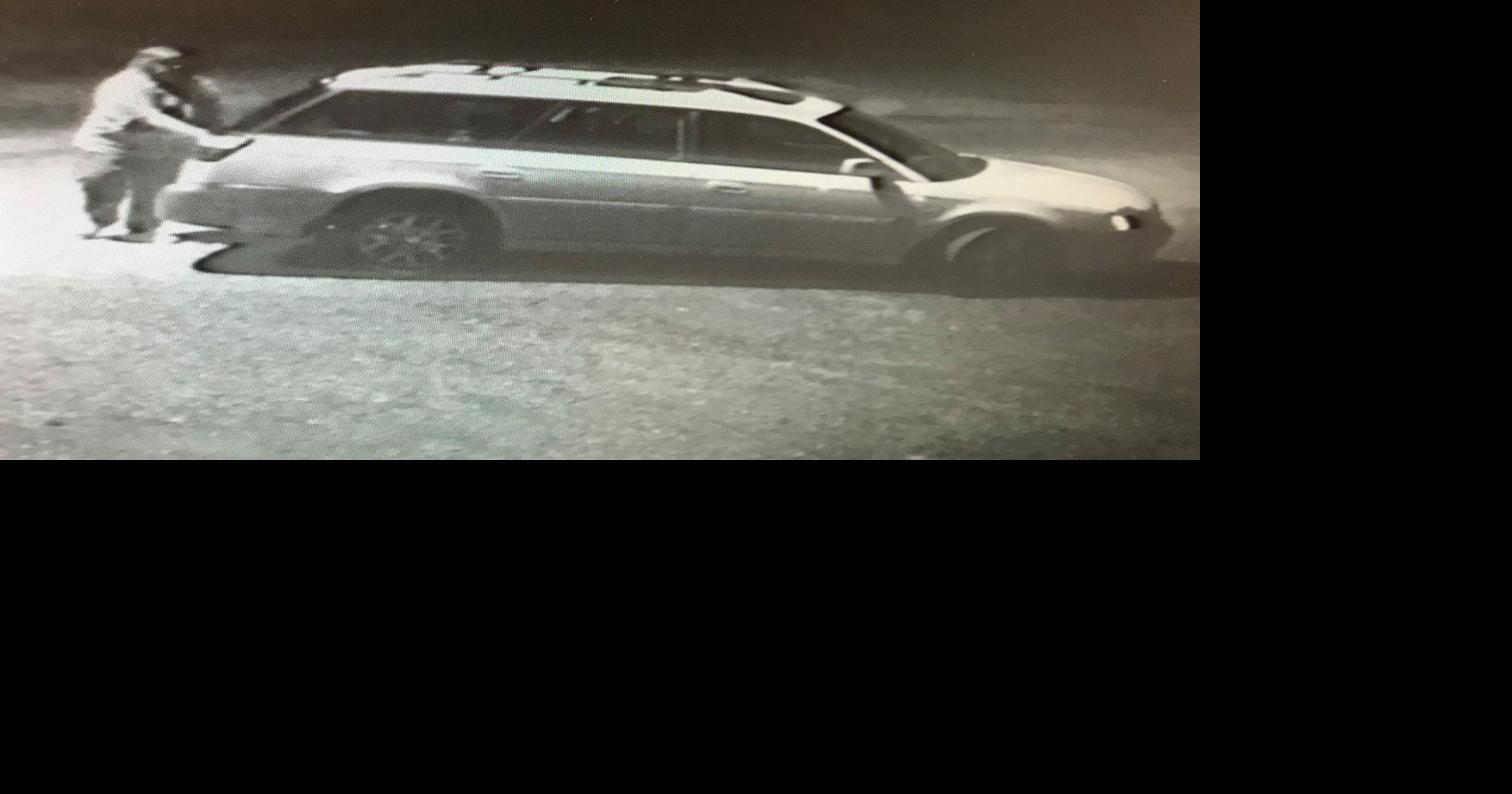 Kootenai County Sheriff's Office looking for person involved in animal ...