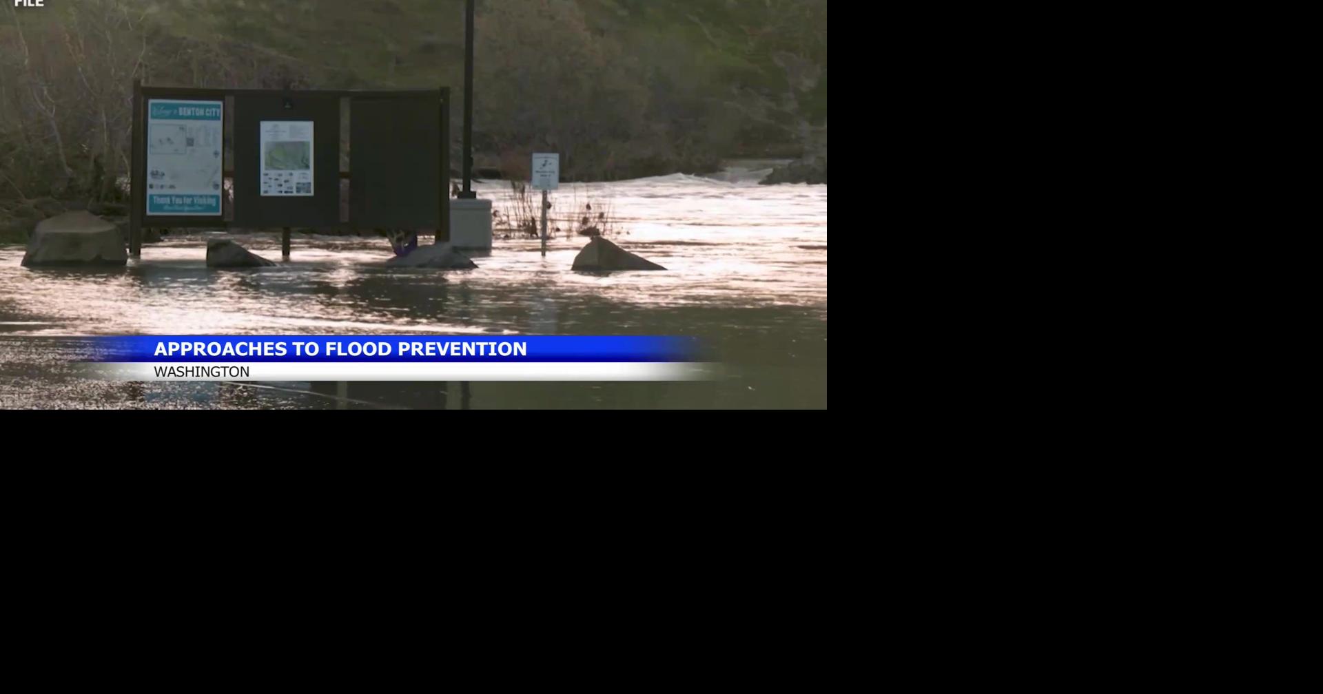 Seattle South Park flooding research looks at nature-based fixes