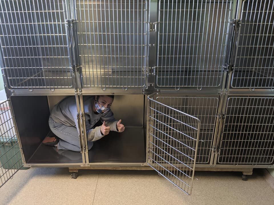 Kennels At The Lewis And Clark Humane Society Emptier After Adoption Event Saturday Regional Khq Com