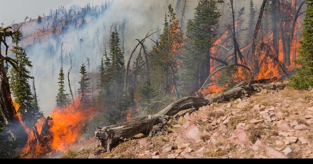 Crews hold Seeley Lake fire line ahead of redflag warning News